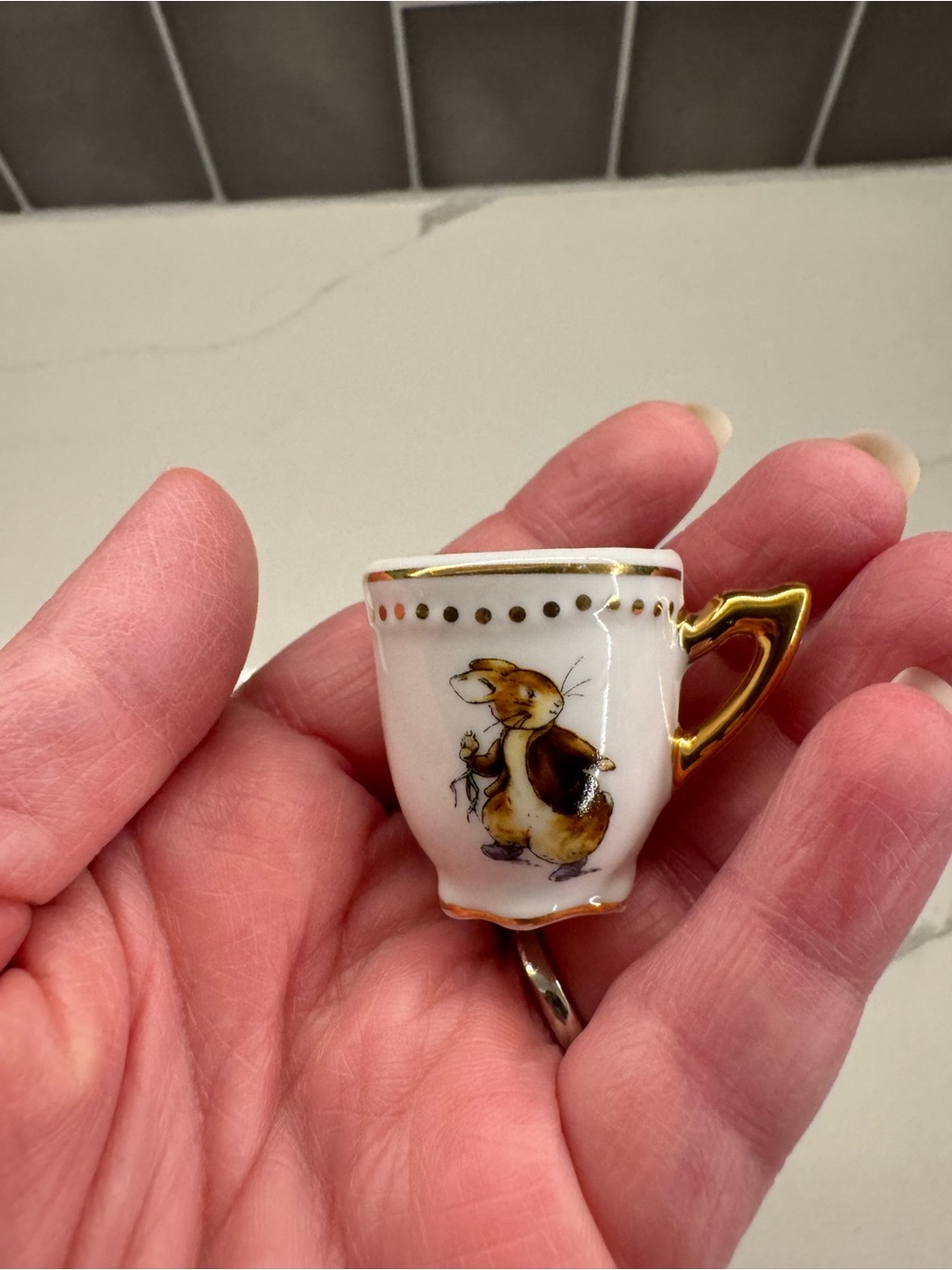 Peter Rabbit & Benjamin Bunny Miniature Tea Set - Picture 6 of 9